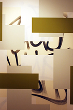 at Scope 2011.