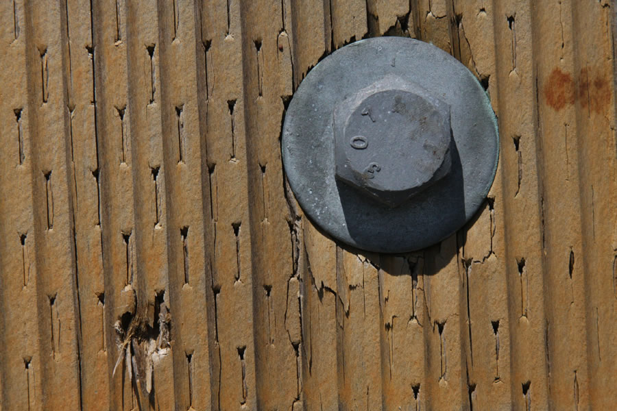 Boardwalk, Long Beach, WA. Photo copyright Mark Dahle 2010.