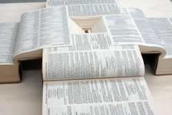 2013 Venice Biennale